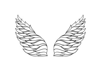 hand drawn illustration of wings on a white background