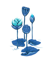 Vector illustration with blue lotuses and stems in lake. Botanical image with foliage and flowers on white background. Flat hand drawn clipart