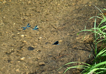 river surface texture