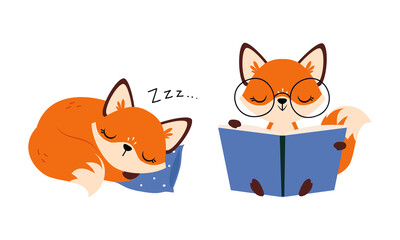 Cute Red Fox Sleeping on Pillow and Reading Book Vector Set