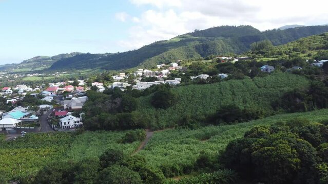Reunion island sugar cane field landscape by drone. High quality 4k footage
