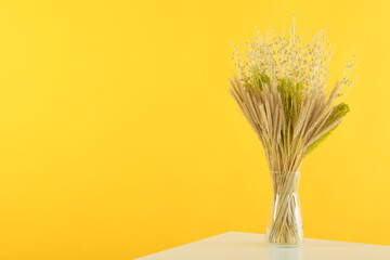 Hygge concept, dried flowers against yellow background