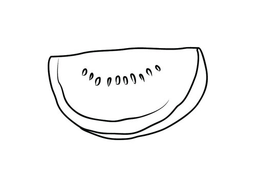sketch of watermelon for education drawing