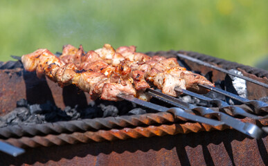 Meat on skewers grilled on coals.