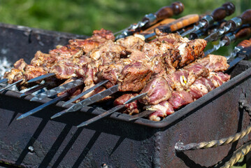Meat on skewers grilled on coals.