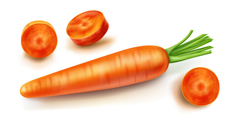 Carrot vector isolated illustration. Orange sliced vegetable with green leaves and shadow in realistic style on white background