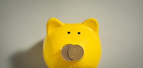 Piggy bank with a coins. Concept of saving