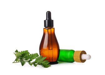 Bottles of natural serum and fern leaf on white background