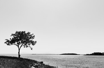 Obraz premium Black and white coastline