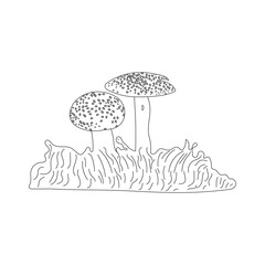Mushrooms, autumn, forest, and harvest hand drawing. Modern one line graphic draw design illustration