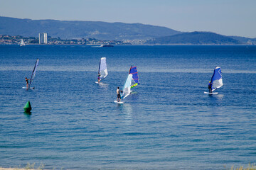 surfers with windsurf board in the sea