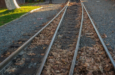 Fototapeta na wymiar Two train tracks merge in Sacramento, California