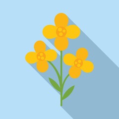 Field canola icon flat vector. Oil plant