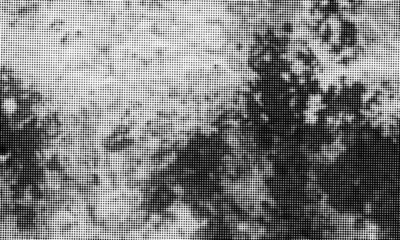 Fototapeta premium Black grunge texture. Place over any object create black dirty grunge effect. Distress grunge texture easy to use overlay. Distress floor black dirty old grain texture. Distress grain dirty background