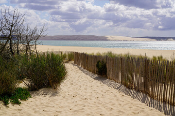 Naklejka premium wooden fence path access dune du pilat sand beach ocean atlantic sea in cap-ferret pyla france
