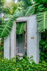 Nature taking over the remains of an abandoned house in the Philippines, with banana leaves and...