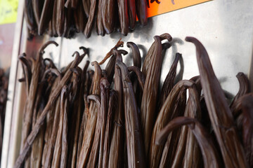 Real fresh vanilla from la reunion island madagascar vanille bourbon . High quality photo