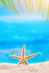 Fototapeta na wymiar Yellow starfish on sandy beach, sea and palm tree behind. Vacation, travel, holiday concept. Copy space, vertical