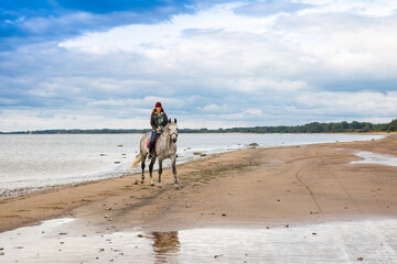 wearing jeans and jacket woman horses on the gray hack along sandy beach