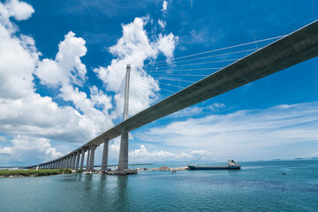 The impressive CCLEX bridge, a large cable-stayed bridge, part of the Cebu–Cordova Link...