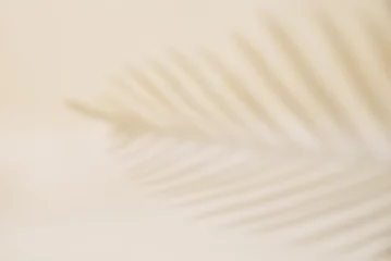 Fototapete Badezimmer Abstract background with tropical palm leaves shadow on beige wall, Creative minimal design with copy space, Summer concept, flat lay  © Lazy_Bear