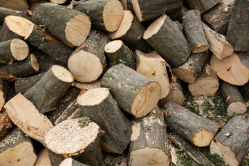 Round firewood lies on the grass in the yard. Sawn tree. pads