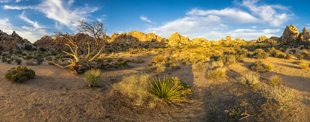 hiking the hidden valley nature trail in josua tree national park, california, usa © Christian B.