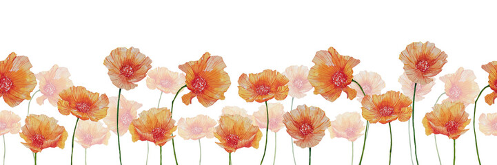Seamless field of watercolor illustration of poppy flowers. Hand-drawn floral border for decoration of rooms, books, design of cover, card.