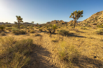 hiking the maze loop in joshua tree national park, california, usa