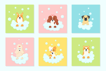 Grooming salon. Set of banner for beauty salon. Vector illustration in cartoon style. Cute dogs in a bubble bath. Animal care.