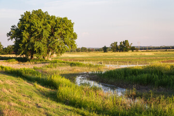 Trees, pond, and grass in Nebraska