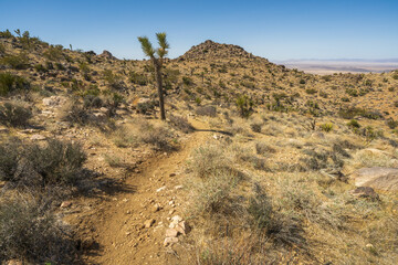 hiking the maze loop in joshua tree national park, california, usa