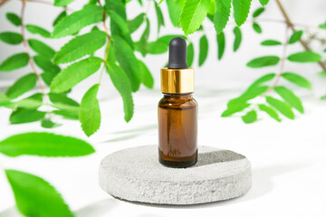 Cosmetic body serum in a brown glass bottle on a gray round podium among the green leaves of the plant, eco products.