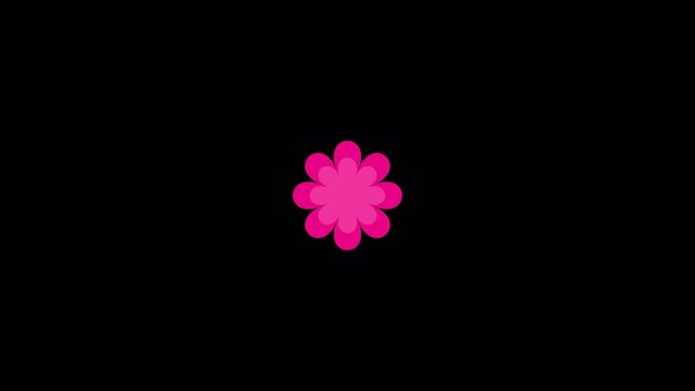 Set of center wipe transitions of flower graphics animated on transparent background with an alpha channel. 5 types of the color pattern included.