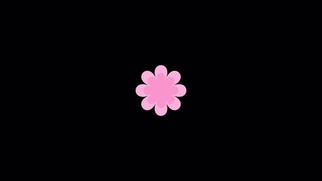 Set of center wipe transitions of flower graphics animated on transparent background with an alpha channel. 5 types of the color pattern included.