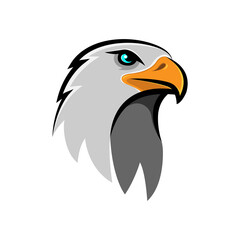Eagle head illustration