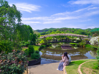 People having a rest to see a bridge with light pink Japanese wisteria trellis at waterside...
