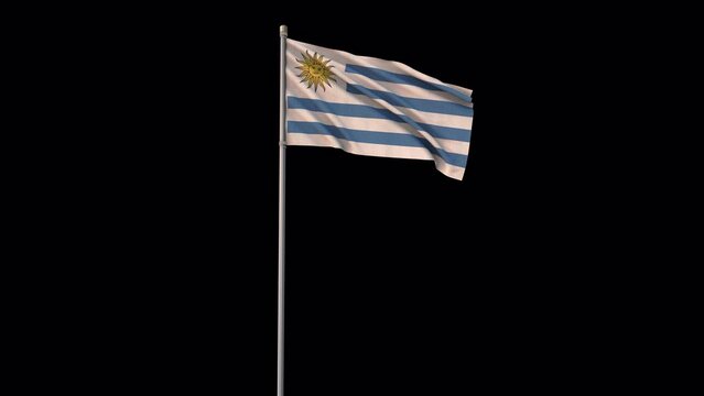 Uruguay flag, 4k video background is transparent