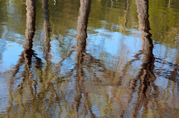 Obraz premium Reflections on the water