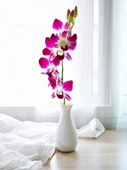 Violet purple orchids flowers in vase on table window light ,flora Cooktown orchid background or wallpaper ,copy space for lettering ,women's day ,mother's day ,spa relaxation ,still life for products