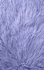 long fluffy fur in neutral light condition as background wallpaper. Very peri.