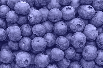 Fresh blueberries background with copy space.  Vegan and vegetarian concept. very peri