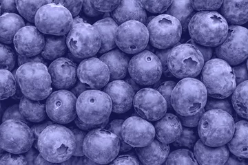 Photo sur Plexiglas Pantone 2022 very peri Fresh blueberries background with copy space.  Vegan and vegetarian concept. very peri