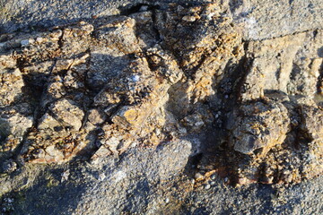 stone wall texture