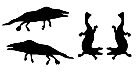 Prehistoric extinct genus of ancient whale - rodhocetus and georgiacetus. Silhouette drawing  with extinct animals. 