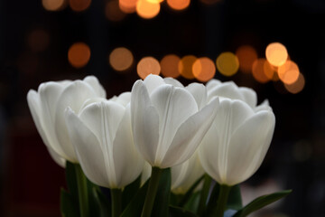 Bouquet of white tulips with bokeh on dark background. Spring tulip flowers in urban space with evening lights, selective focus