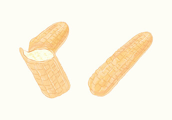 Corn shape vanilla ice cream dessert in vector illustration art design