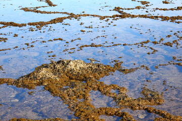 Shallow pools on the coastline formed by ridges on the rocks at Witsand, Western Cape, South Africa.