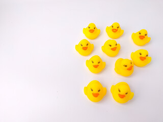 A group of toy ducks gathered on a white background