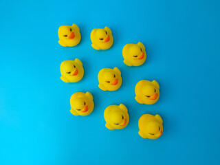 A group of toy ducks gathered on a blue background